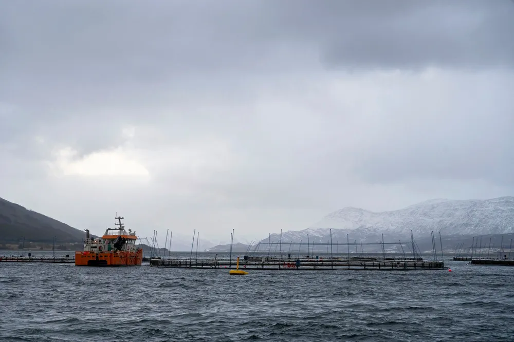 Norcods anlegg i Labukta i Nesna kommune.