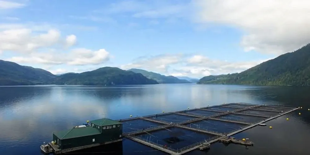 Mowi's Phillips Arm site in British Columbia.