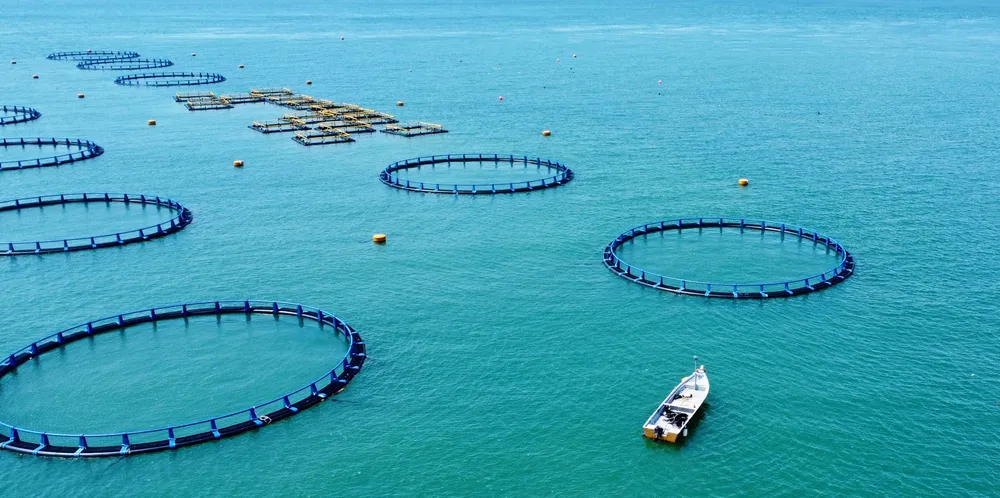 The funding will be partly used for the "immediate deployment" of sea cages at its existing sea lease at Pelong Rocks in Brunei.