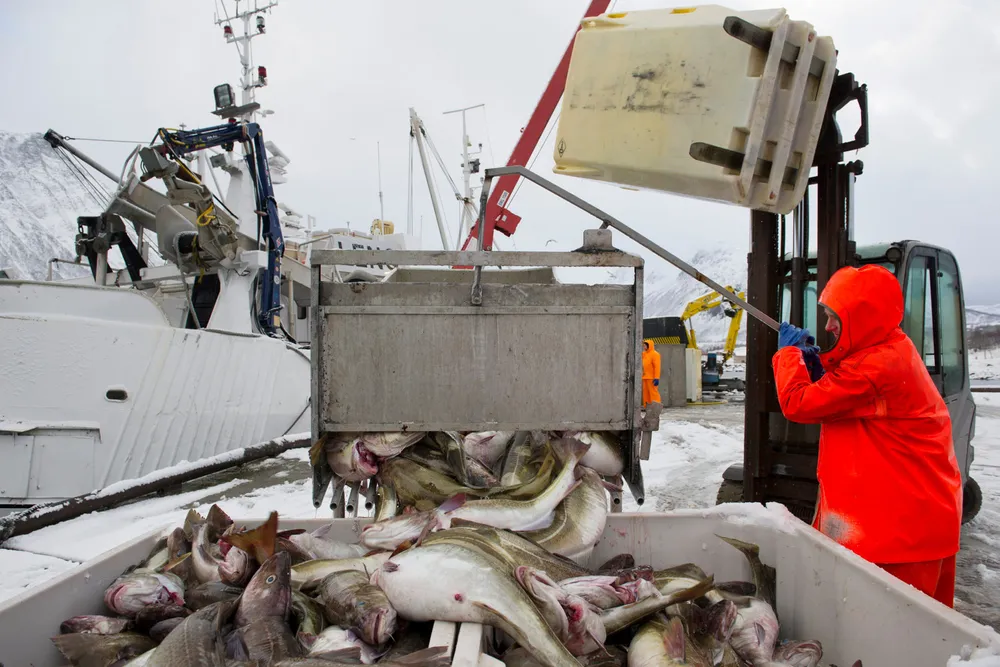 Bærekraftige, norske fiskerier er et resultat av at fiskere, politikere, byråkrater og fagfolk har samarbeidet for å finne bedre løsninger, skriver Sigbjørn Landazuri Tveteraas.