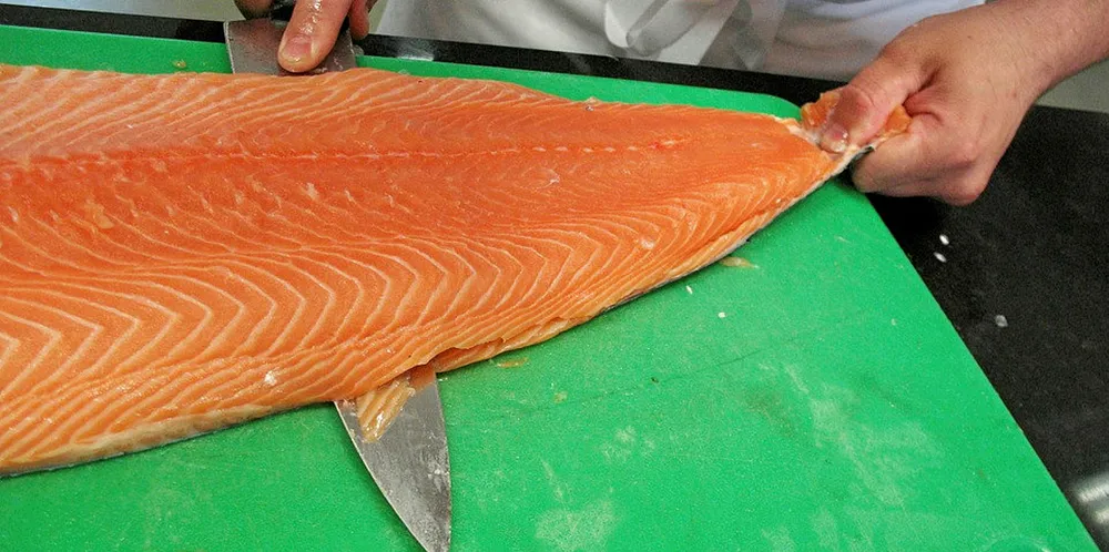 Farmed Norwegian Salmon.
