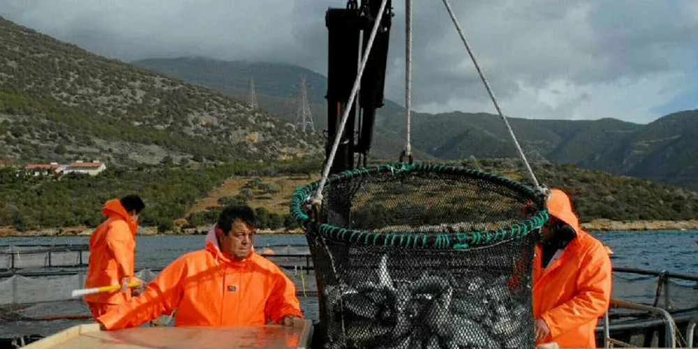 Aquaculture is one of the most important industrial sectors in Greece.