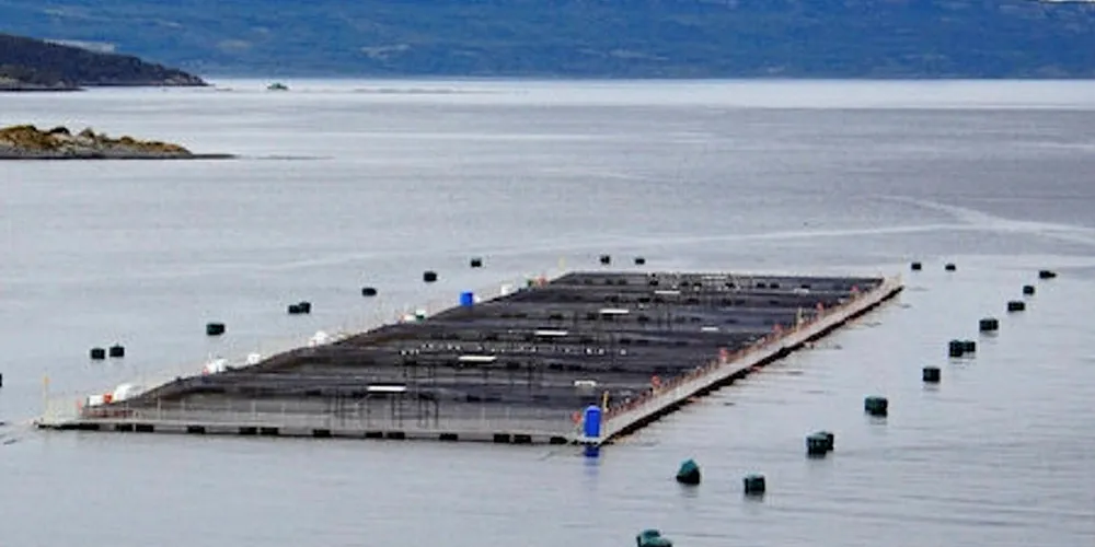 Chilean salmon farm.