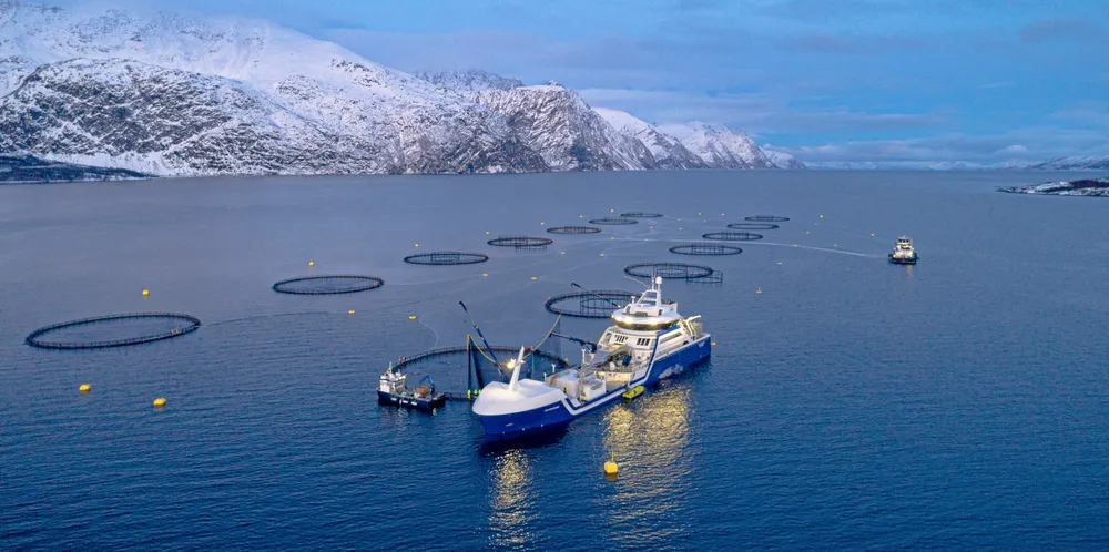 Havpanelet sier at havet er en del av løsningen. Det er her vi kan høste og oppdrette mer klimavennlig mat, og det er her vi kan produsere mer klimavennlig energi.