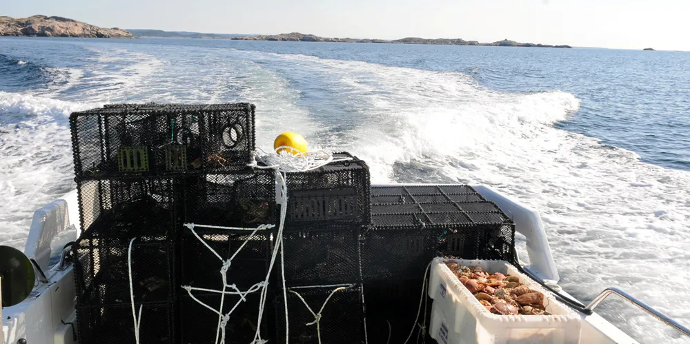 Fiskerne på leppefiskbåten «Utrygg I» fikk inndradd hele fangsten. Bildet har ikke noe med denne saken å gjøre.