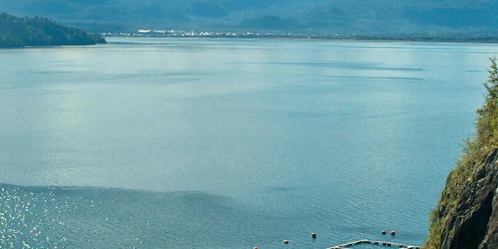 Chilean salmon farm tests positive for deadly ISA virus