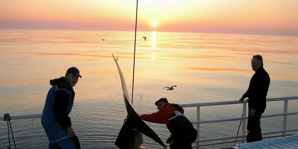 HVAL OG SELFANGST: Det fornuftig å beskatte hval- og selbestandene for å sikre balanse i de marine økosystemene.Foto: Fiskeri.no/Hans Petter Tysnes