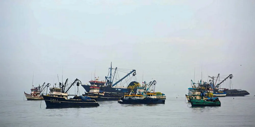 Peru fishing body slams new anchovy fishing tax rates