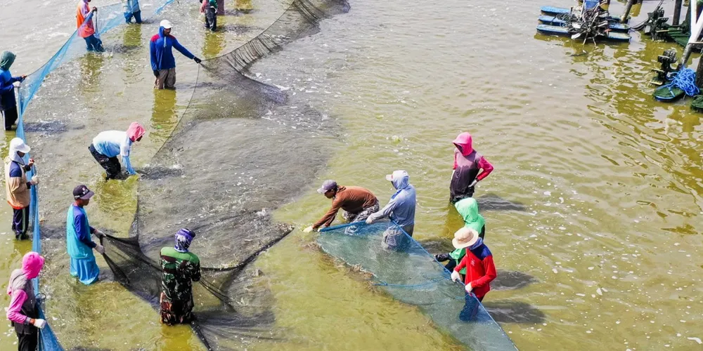 Delos plans to use the latest investment funds for doubling production capacity for its pond management system product Aquahero, and expanding its business in integrated supply chain management.