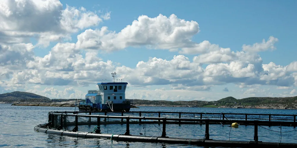 Alsaker salmon farm
