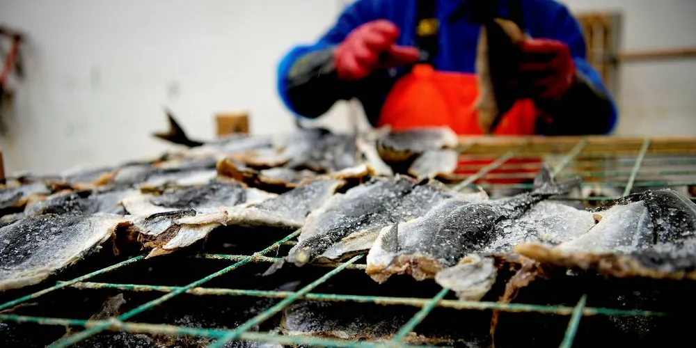 POTENSIAL: Tiden og muligheten for å posisjonere seg for fremtidige marine næringer er nå.Foto: Mikaela Berg, DN