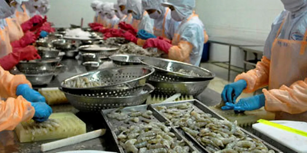 Vietnamese shrimp processing.