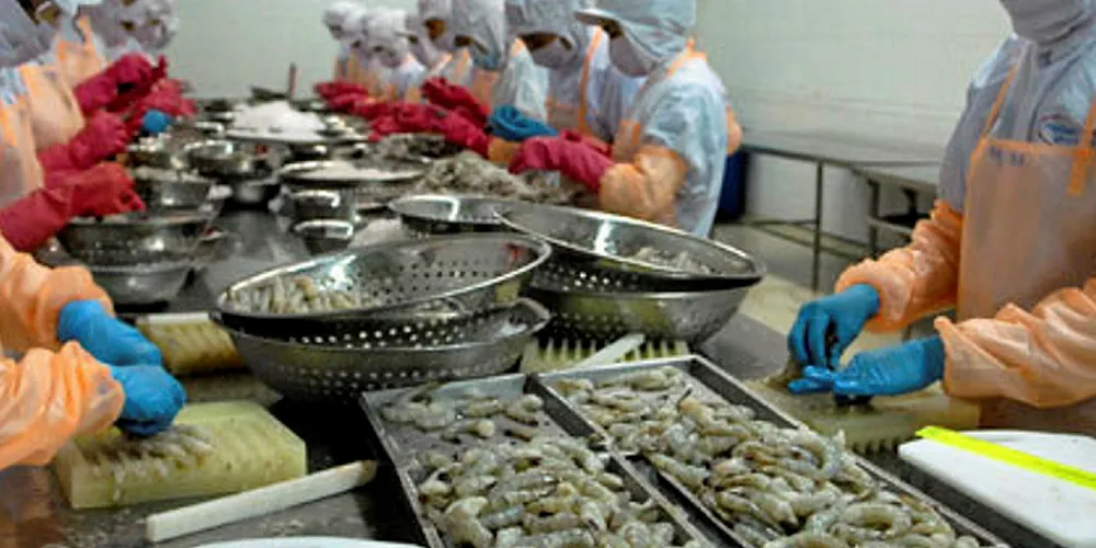 Vietnam shrimp exports are expected to recover in second half