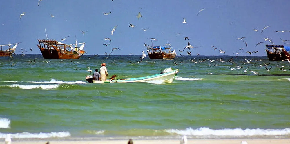 With Nutreco's support, IFFC also has plans to construct a fish feed plant in Duqm in southern Oman.
