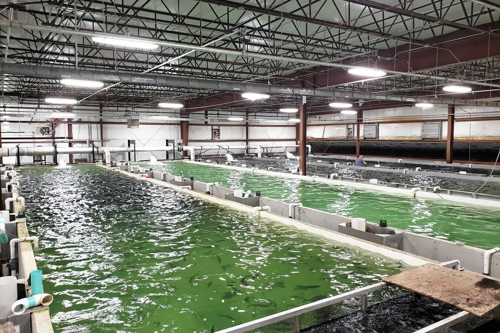Once-promising land-based salmon farmer LocalCoho has shut down.