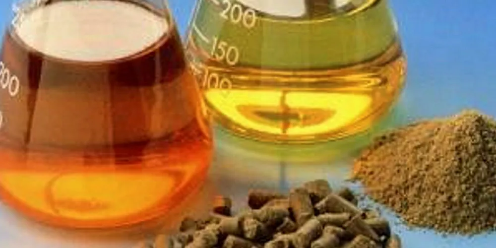 A step forward for fish oil?