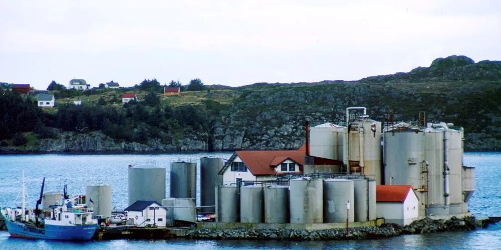 Hordafôr skal i gang med et prosjekt der de vil bruke lysprikkfisk i fiskefôr. Arkvivfoto: Kjersti Sandvik