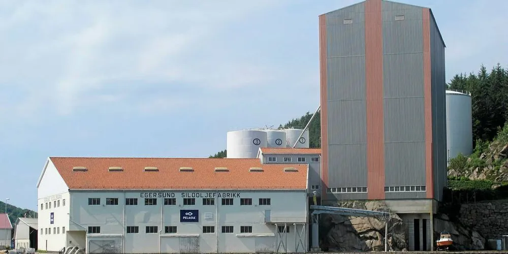PENGER: Skolekameratene visste hvorfor det luktet av klærne våre. Det luktet penger fra sildoljeproduksjonen, skriver stortingsrepresentant Tom-Christer Nilsen (H). Her Pelagia Egersund sildoljefabrikk.Foto: Kjersti Sandvik