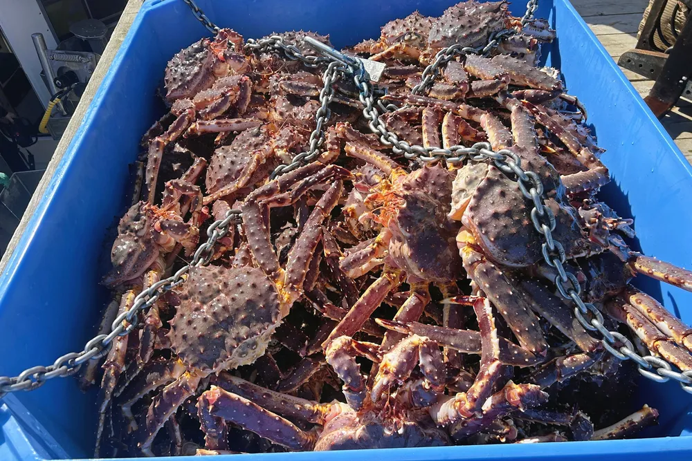Ifølge fartøyregisteret hadde mannen tillatelse til å fiske kongekrabbe med sin ti meter lange sjark.
