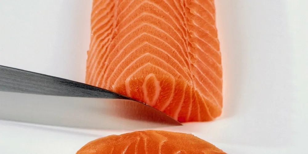 Chile expects all Russian salmon import restrictions lifted; the question is when?