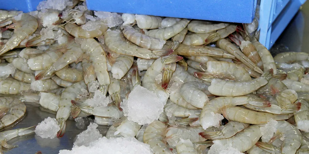 Brazil is renewing calls to ban shrimp from Ecuador.