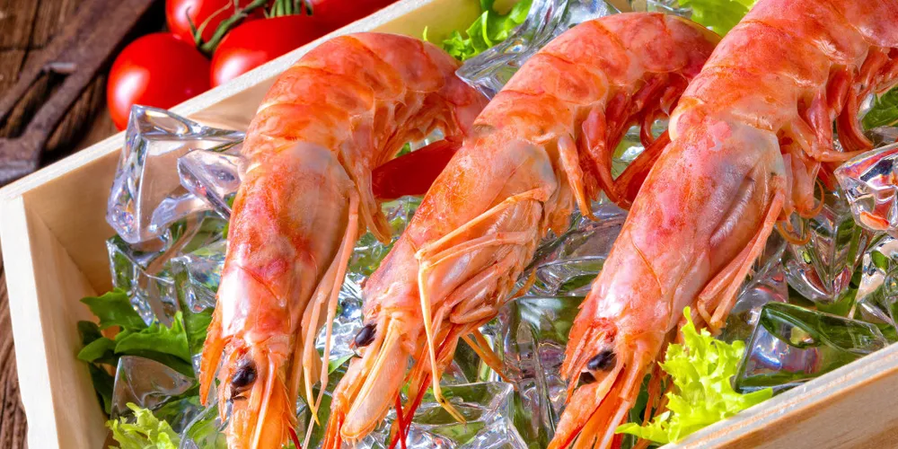The researchers aim to replicate the look and taste of real prawns.