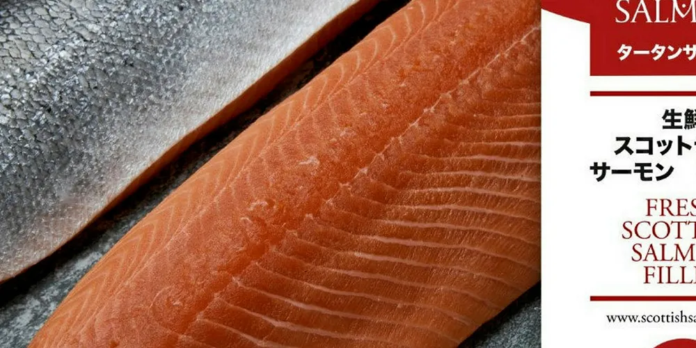 . The Scottish Salmon Company Tartan Salmon.