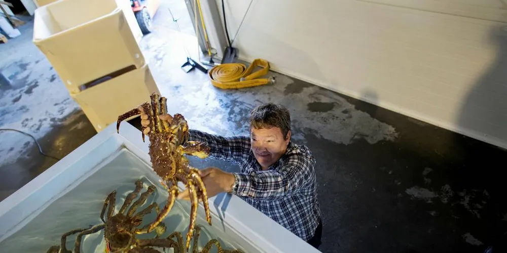 UTVIDER: Bare to år etter at Svein Ruud åpnet krabbehotellet i Nes, Akershus, ser han behov for å utvide hotellet for å få plass til mer levende krabbe.