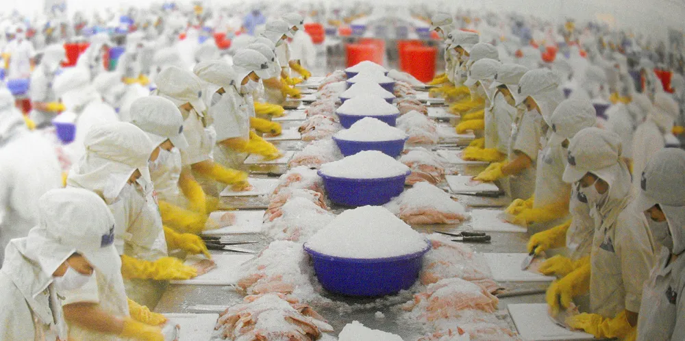 Vietnam’s pangasius producers seek new markets in face of US tariffs