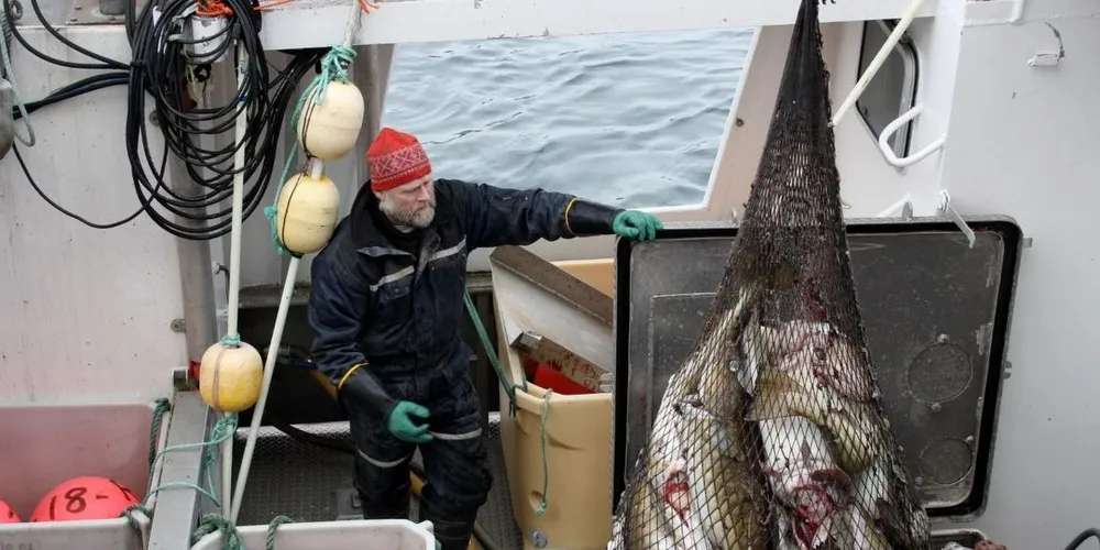 REKORD: Årets lofotfiske er det mest verdifulle noen gang. Omsetningsverdien til fisker nærmer seg en milliard kroner. Her er det Roan-sjarken "Skagen" som losser en skreifangst i Henningsvær. Illustrasjonsfoto: FRANK EINAR IVERSEN