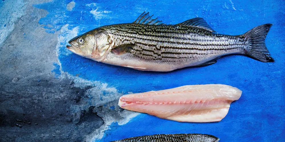 Pacifico Aquaculture is ramping up its marketing efforts.