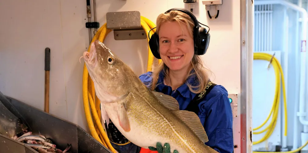Amalie Valde Berge fra bunnfiskavdelingen viser frem Nordsjøtorsk på 13 kilo.