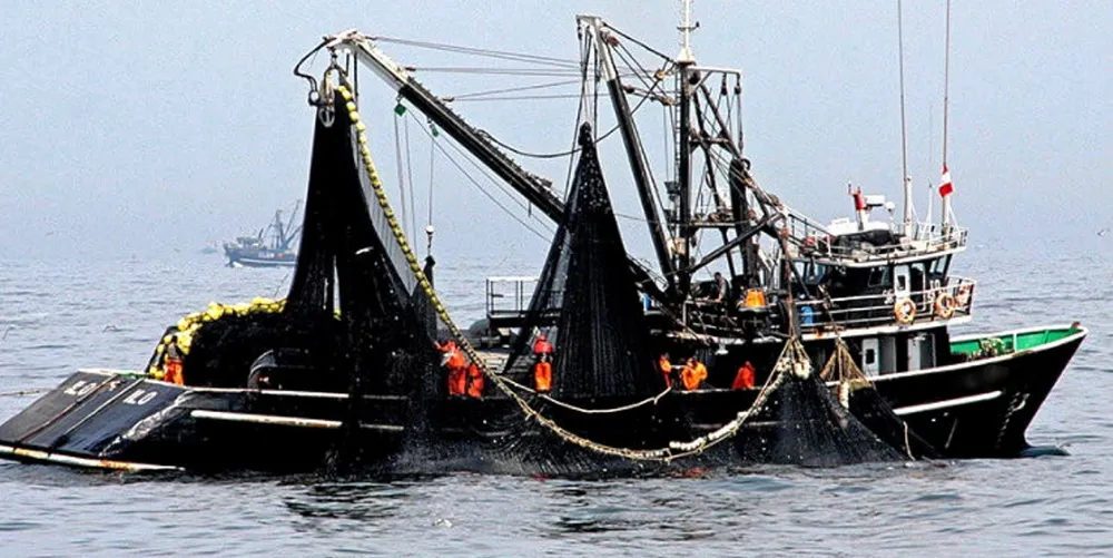 As a main producer, Peru's anchovy quota announcement is always keenly awaited by the fishmeal industry and aquafeed producers.