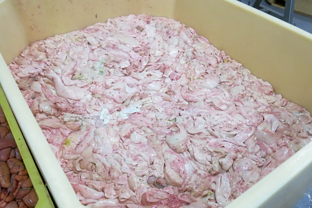 En varebil ble tidlig onsdag morgen stoppet med 700 kilo fiskelever. Bildet viser et kar med torskelever, men er ikke relatert til saken.