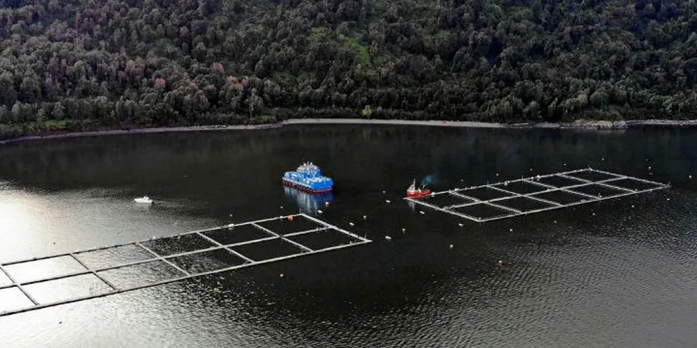 The project aims to detect sea lice, SRS and pharmaceutical discharges in and around salmon production sites in Chile.