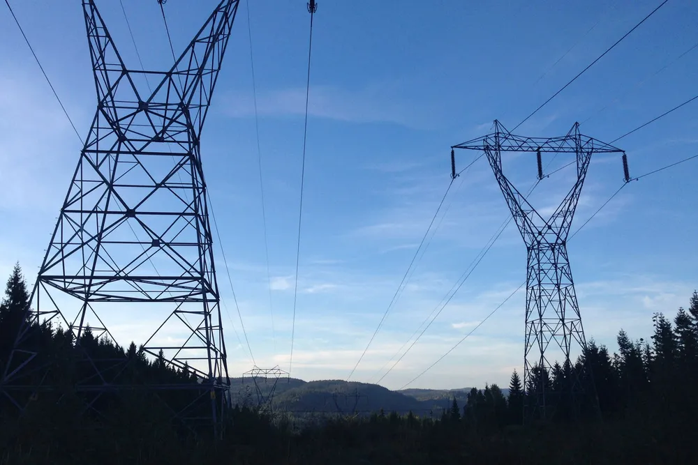 Elektrisitet inkludert nettleie bidro til å trekke kpi opp hele 1,8 prosentpoeng i perioden juni 2020 til juni 2021.