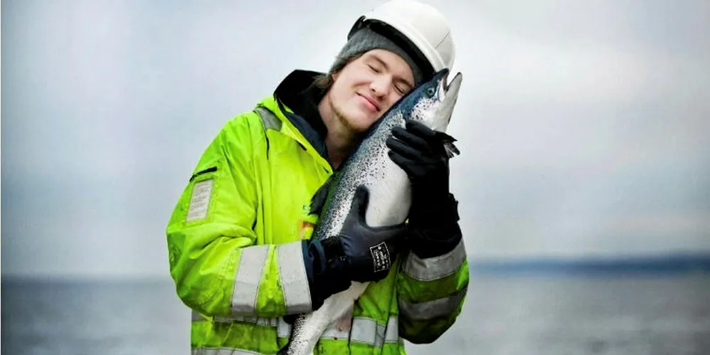 Christmas came early for salmon farmers.