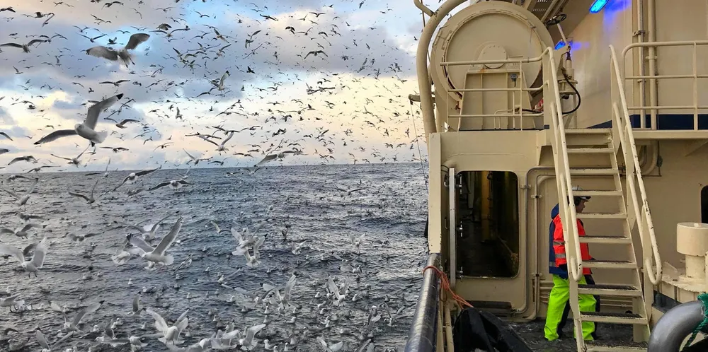 Snart er det kun på Haltenbanken og Sklinnabanken man til tider kan risikere å se båter i havområdet mellom Buagrunnen og Røst, skriver Lars Hopmark, skipper på Fiskebank.