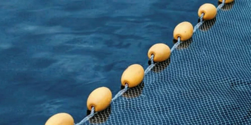 ISA virus detected at Cermaq Chile site. ISA, Cermaq Chile.