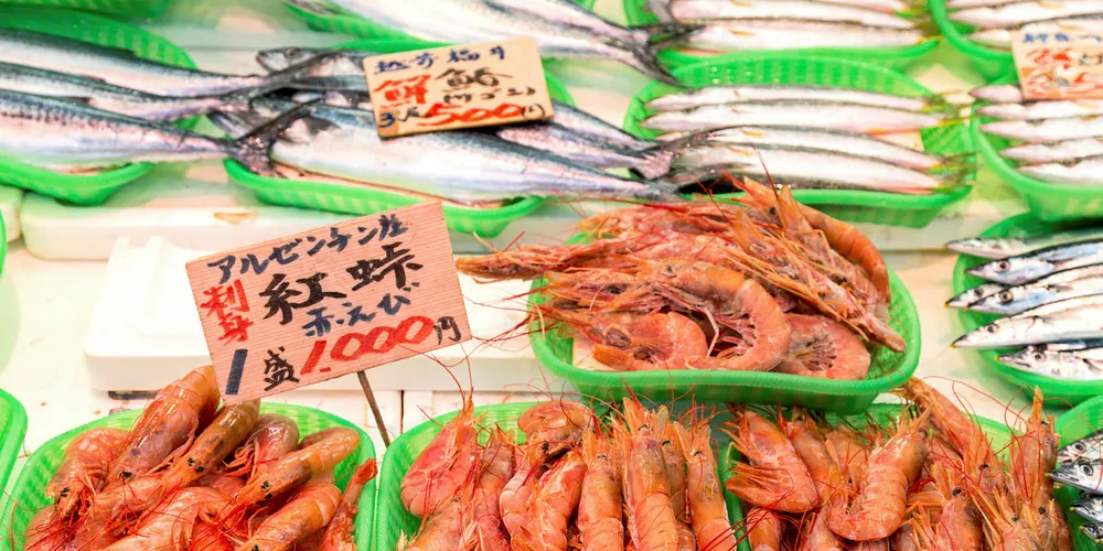 Argentinian red shrimp on sale in Japan.