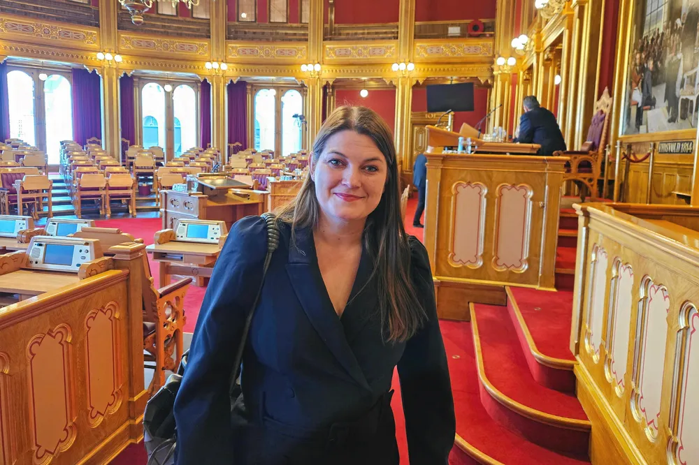 Næringsminister Cecilie Myrseth har bestemt at fastprisavtalene for næringslivet, ofte kalte Vestreavtalene eller regjeringens fastprisavtaler, skal være en permanent ordning. – Å tilpasse seg til et strømmarked som nå er ganske annerledes enn kun for noen få år siden, vil ta noe tid, spesielt for bedrifter som ikke tidligere har hatt et veldig aktivt forhold til strømkjøpsstrategi, påpekte NHO i et brev til Nærings- og handelsdepartementet tidligere i år.