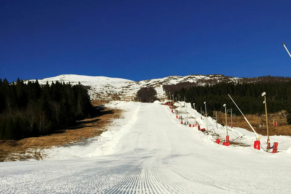I februar har gress og grønne skoger prydet terrenget rundt kunstsnøen i Harpefossen skisenter. Foto: Tore Kroken Karlsen