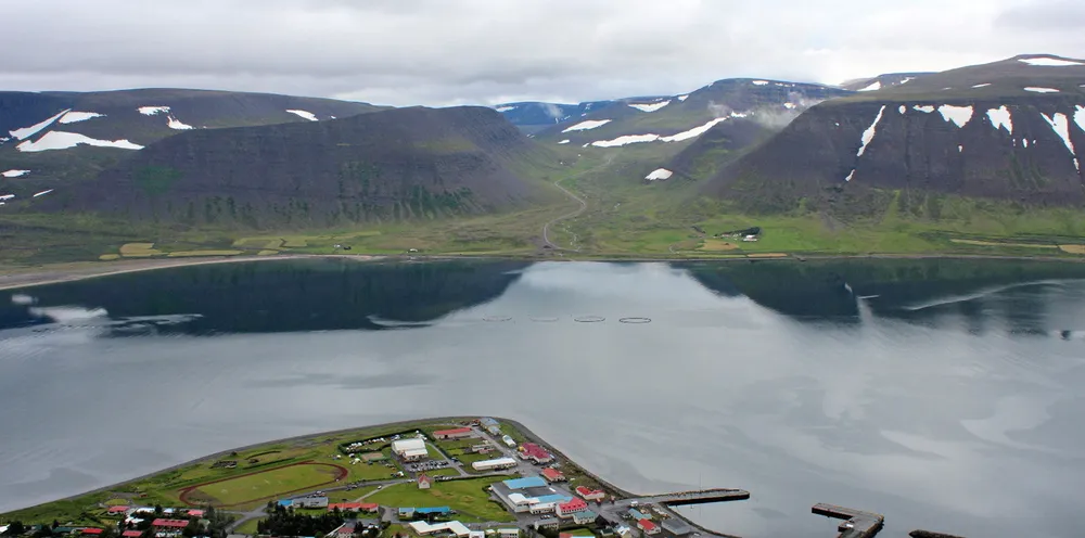 Det ble opprinnelig oppgitt at 1500-2000 tonn var gått tapt etter hendelsene ved de to Arctic Fish-lokalitetene. Ifølge NRS' nye tall er det snakk om 3.000 tonn fisk.