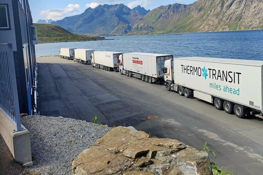 Fisken pakket og klar for videre transport ved Jennskaret hos Egil Kristoffersen & sønner.