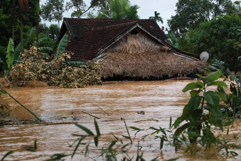 Typhoon season: a villager and his dog stand on the roof of his flooded home in Huong Khe district, central province of Ha Tinh, Vietnam