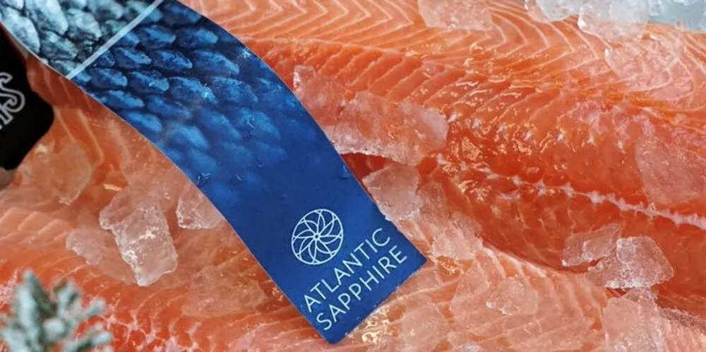 On the upside, Atlantic Sapphire's salmon harvests and sales more than doubled last year.