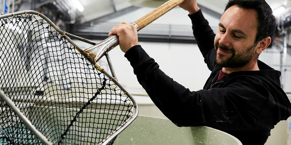 BioMar steps up legal fight over smolts patent.