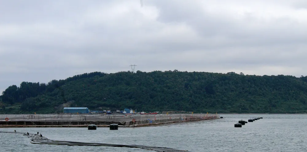 The diver is the second to die at an AquaChile site in Aysen is little over a year.