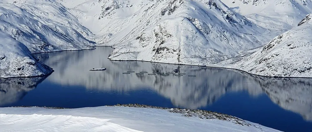 Cermaq-lokaliteten Olderfjord.