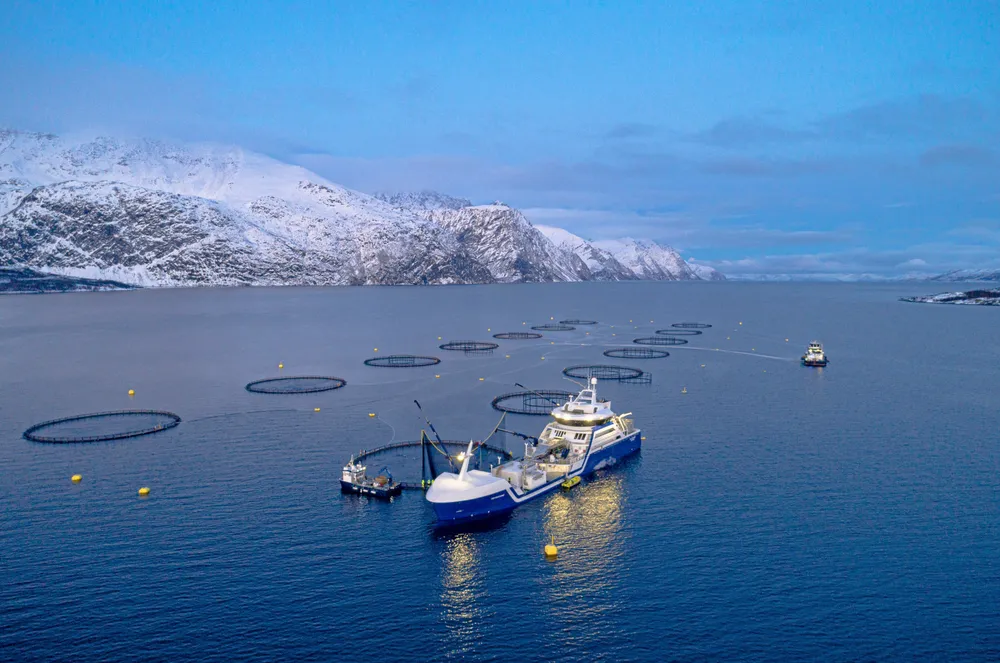Oppdrettsselskapenes driftskostnader knyttet til sjøfasen steg kraftig det første året med grunnrenteskatt på havbruk, ifølge Fiskeridirektoratet. Her oppdrettsanlegget Lerøy Årøya i Lyngenfjorden.